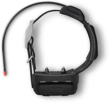 31nmSSZingL._AC_SY780_