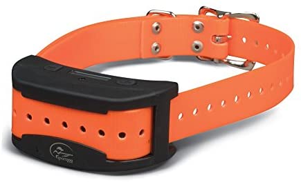 41Hdt5KOzrL._AC_SY780_