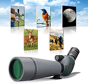 41MWvrdib7L._AC_SY350_