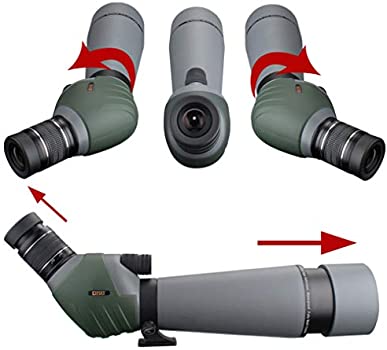 41Yi3cxnmHL._AC_SY350_