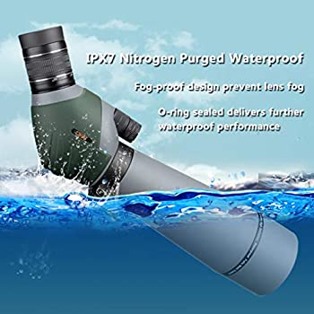 516YG5J-jvL._AC_SY350_