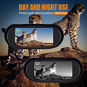 5198USxn9+L._AC_SY350_