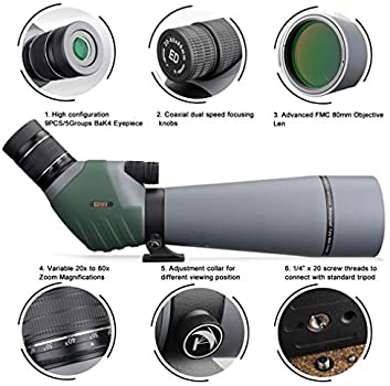 51G6I-TNVyL._AC_SY350_