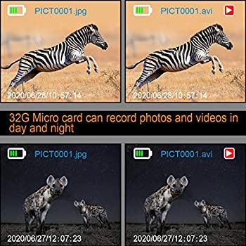 51JVwVDNGrL._AC_SY350_