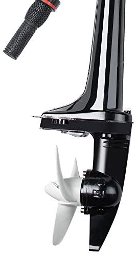 41c3duAENjL._AC_SY780_