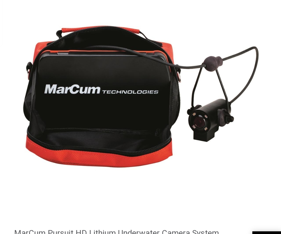 Screenshot_20220202-024557_Chrome