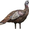 Avian-X Lookout Hen Turkey Decoy, Lifelike Collapsible Decoy, Multi, Model:8006 PACK OF 4