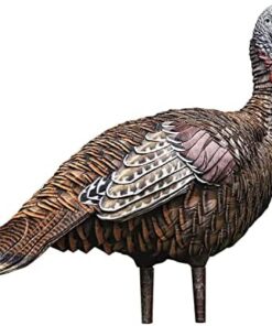 Avian-X Lookout Hen Turkey Decoy, Lifelike Collapsible Decoy, Multi, Model:8006 PACK OF 4