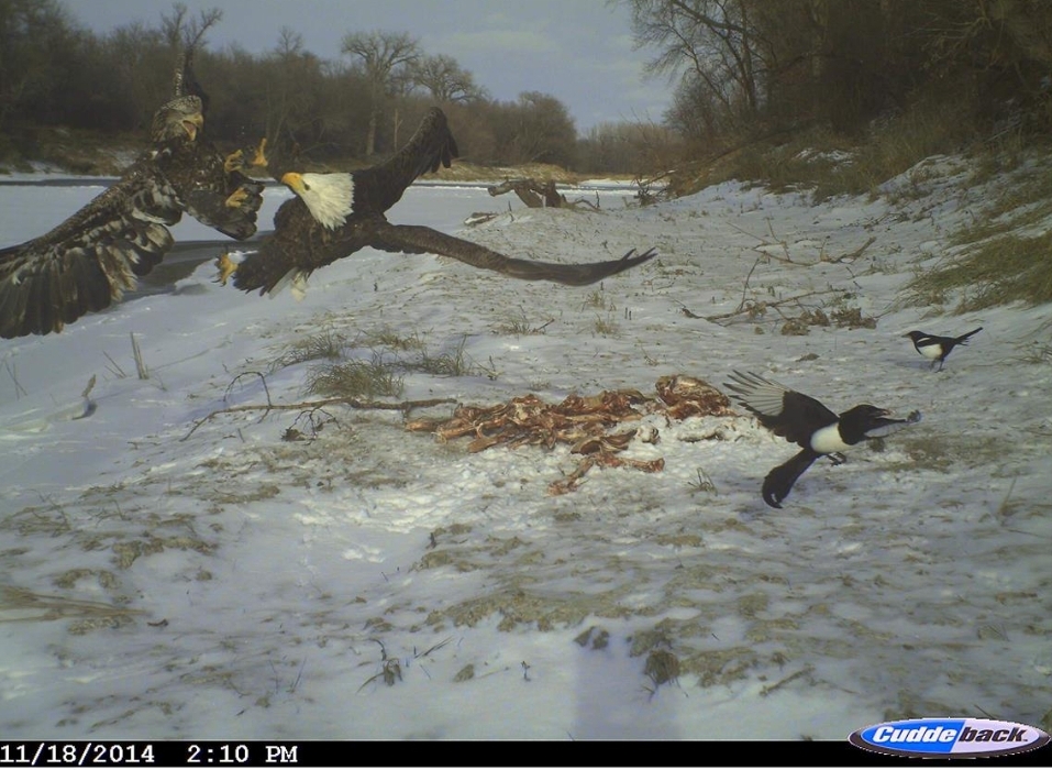 Screenshot_20220316-125631_Chrome