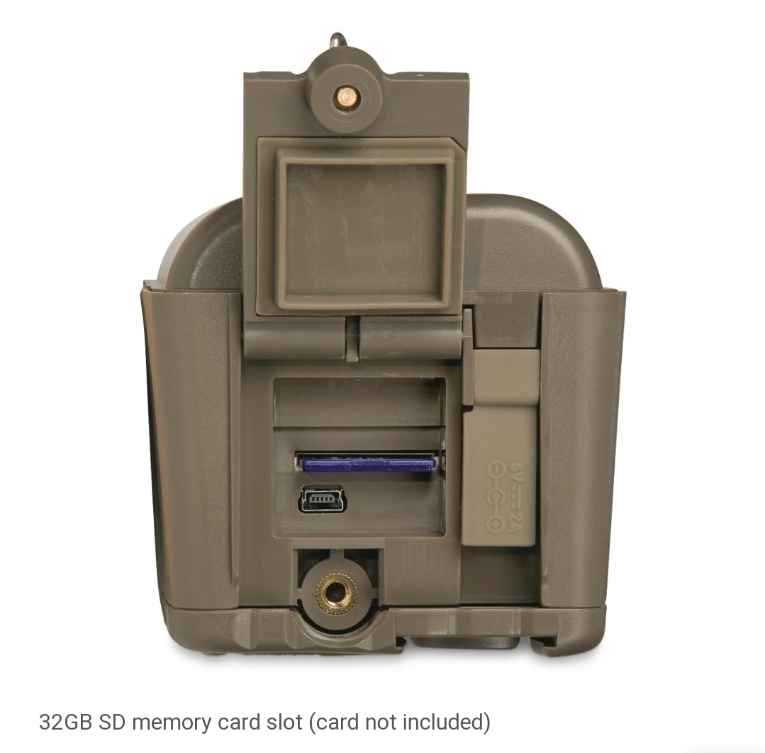 Screenshot_20220316-131302_Chrome