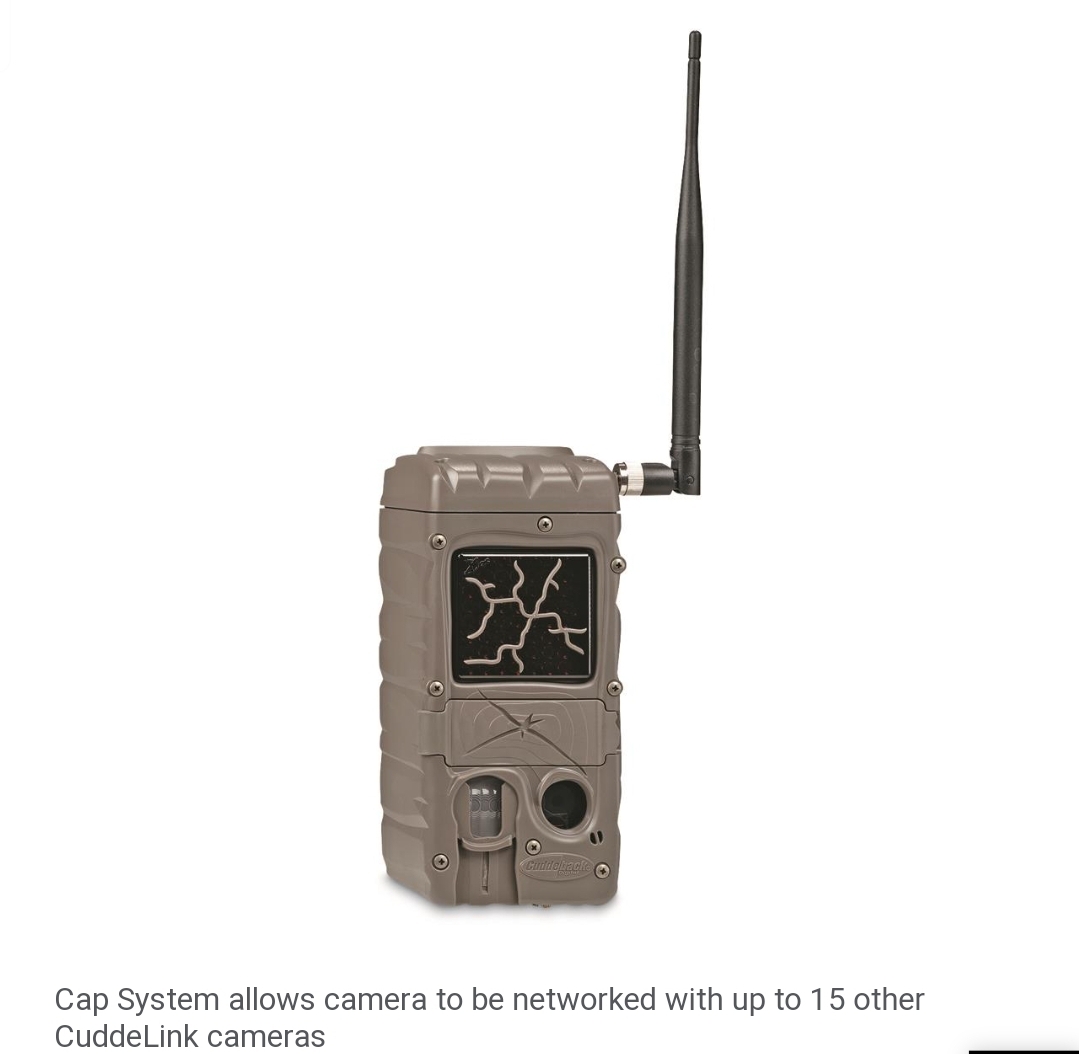 Screenshot_20220316-131313_Chrome